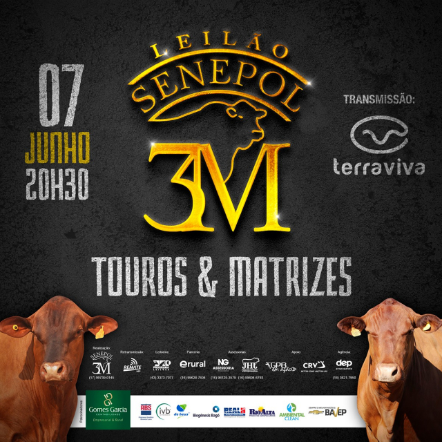 Leilão Senepol 3M - Touros & Matrizes