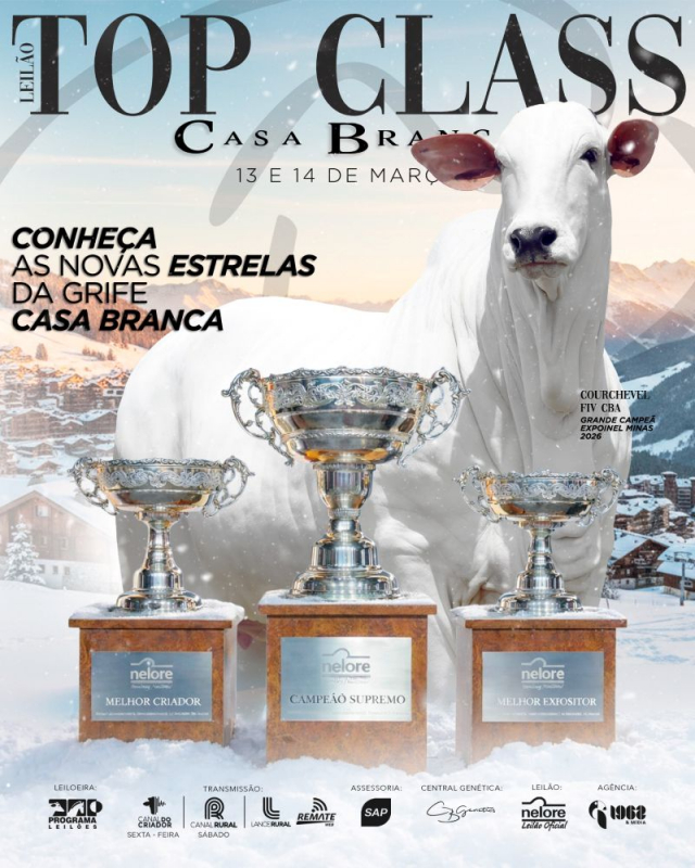 Leilão Top Class Casa Branca.