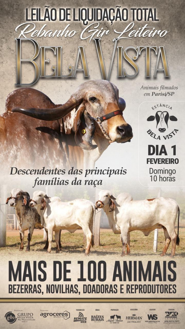Leilão de Liquidação Total Rebanho Gir Leiteiro Bela Vista