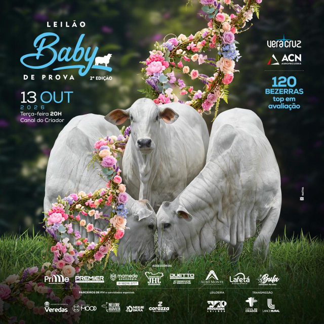 Leilão Baby de Prova 2º Edição