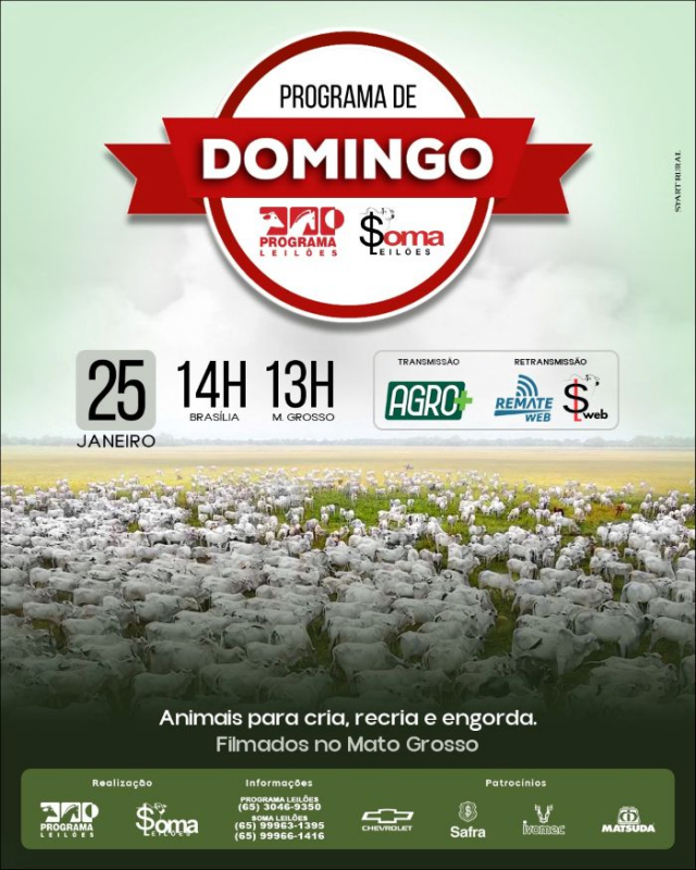 Leilão Virtual Programa de Domingo - Programa e Soma Leilões