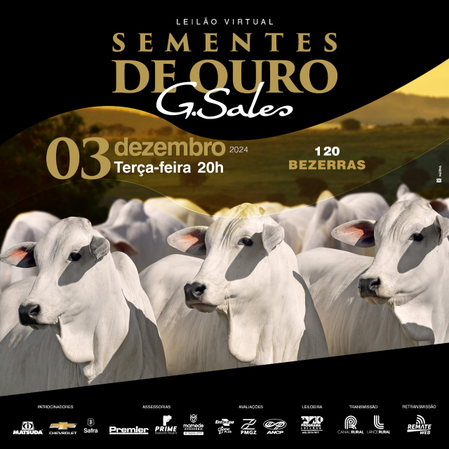 Leilão Virtual Sementes De Ouro G.Sales - Bezerras