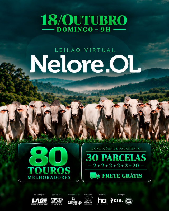 Leilão Virtual Nelore OL