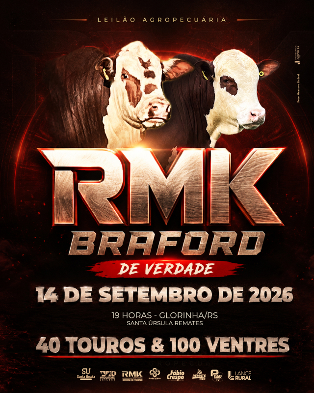 Leilão RMK