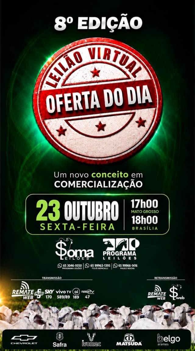 8ª Edição Leilão Oferta do Dia