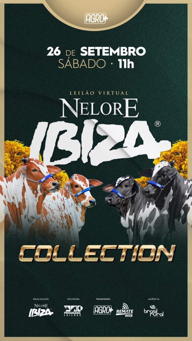 Virtual Nelore Ibiza - Collection