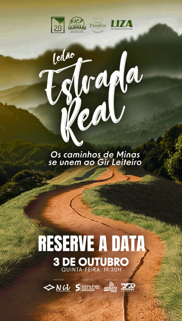 Leilão Virtual Estrada Real