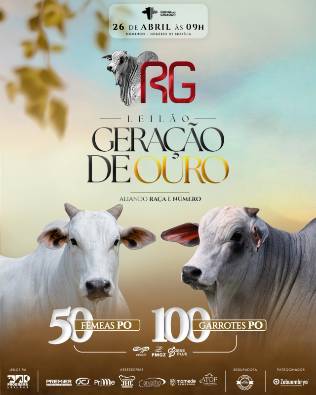 Leilão Geração de Ouro RG