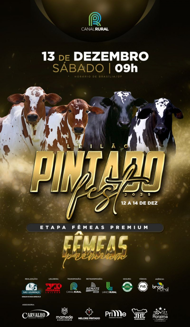 Leilão Virtual Pintado Fest 2025 - Fêmeas Premium