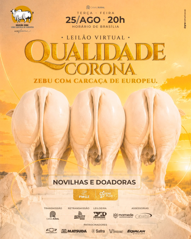 Virtual Matrizes Corona