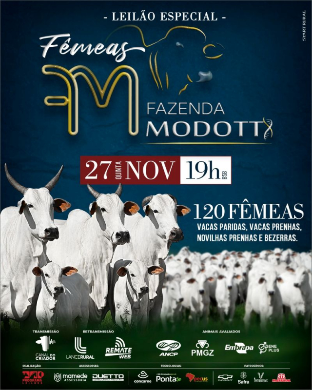 Leilão Virtual Especial Fêmeas Fazenda Modotti