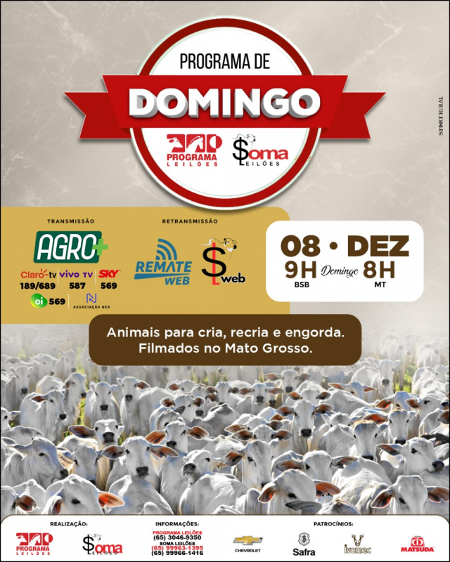 Programa de Domingo - Programa e Soma Leilões - 99º Edição