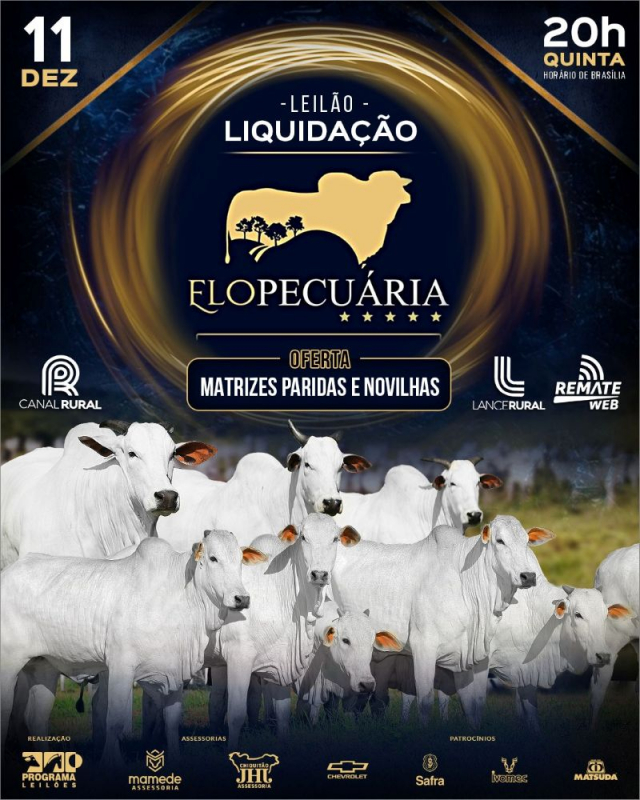 Leilão Liquidação Elo Pecuária