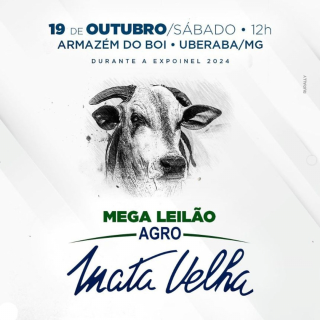 Mega Leilão Agro Mata Velha