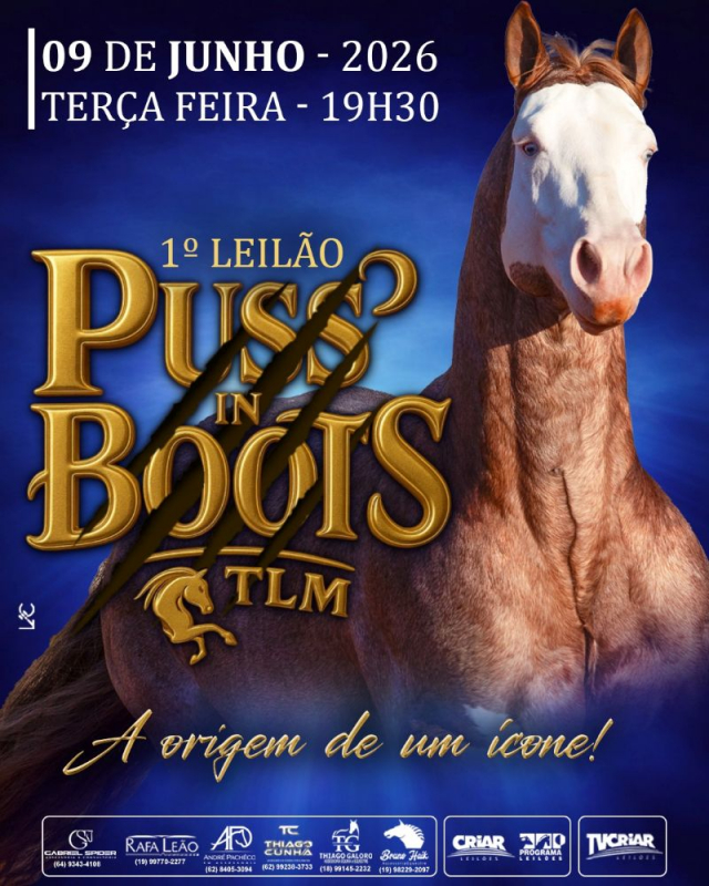 1° Leilão Puss in Boots
