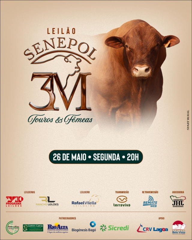 Leilão Virtual Senepol 3M - Touros e Fêmeas