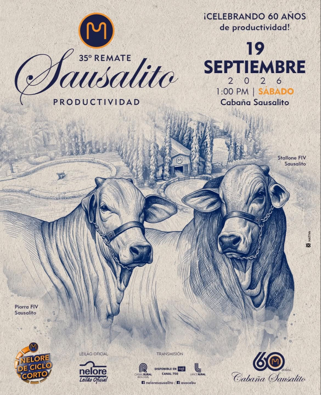 35º Remate Sausalito Productividad