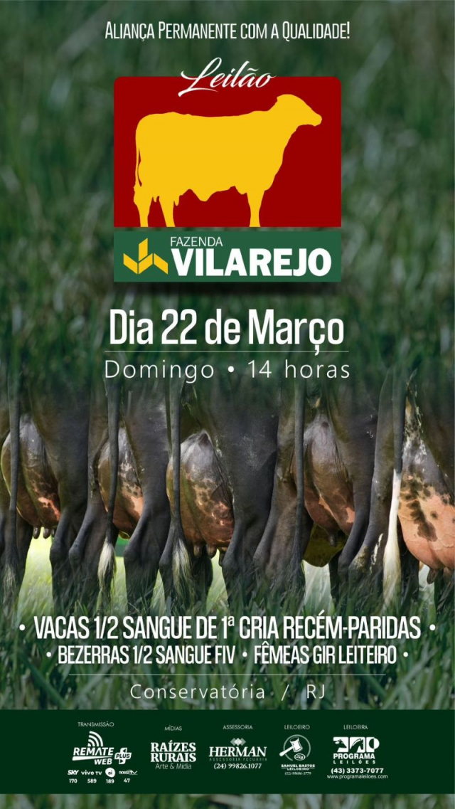 Leilão Virtual Fazenda Vilarejo