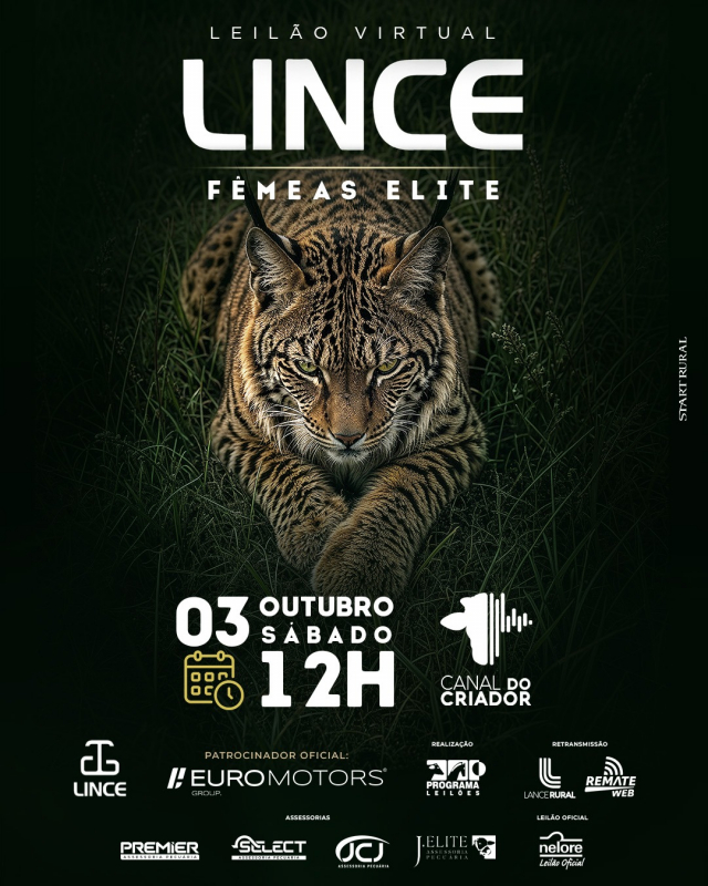 Leilão Virtual Lince - Fêmeas Elite