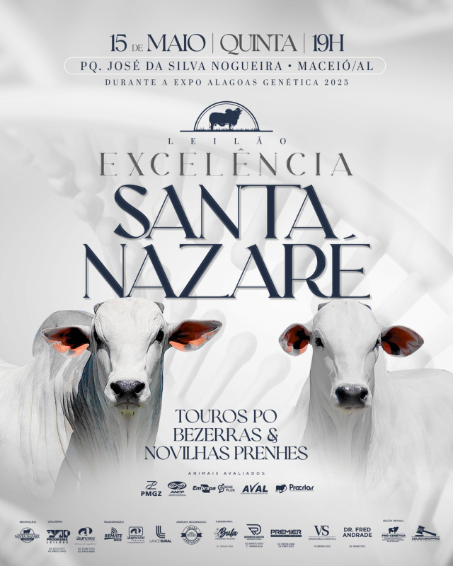 Leilão Excelencia Santa Nazaré