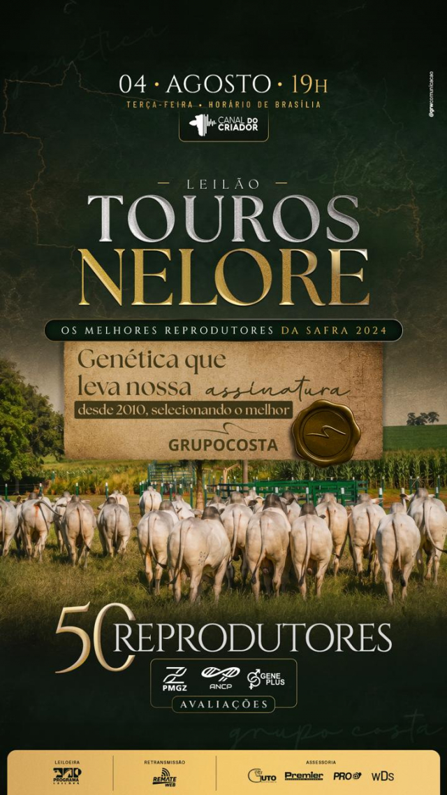 Leilão Touros Nelore Grupo Costa