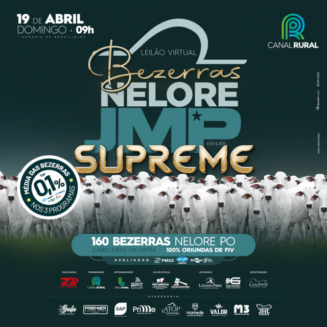 Leilão Virtual Bezerras Nelore JMP - Edição Supreme