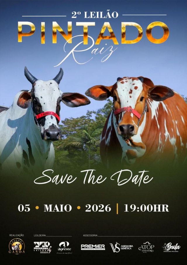 2º Leilão Virtual Pintado Raiz