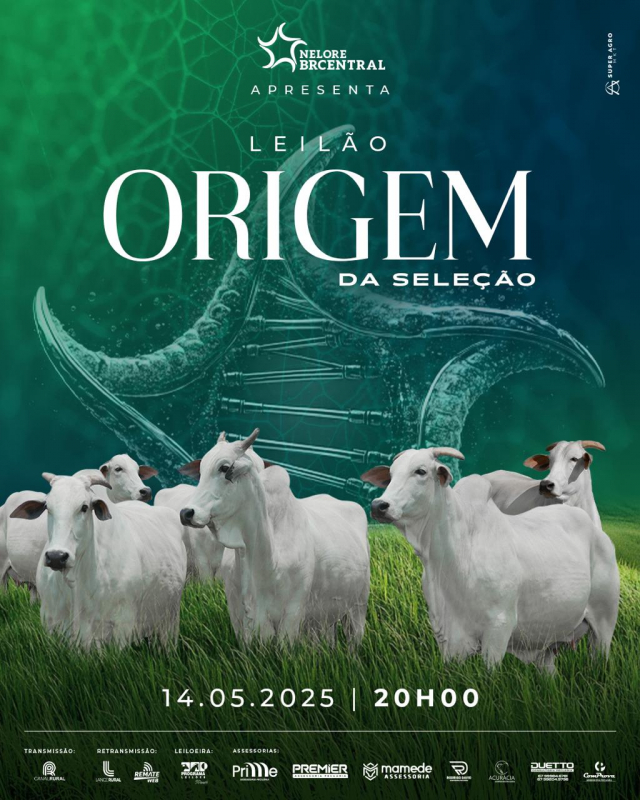 Leilão Virtual Origem da Seleção