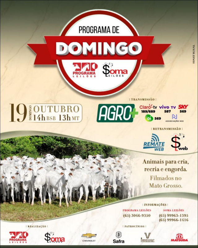 130º Programa de Domingo - Programa e Soma Leilões