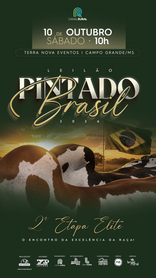 Leilão Pintado Brasil 2026;