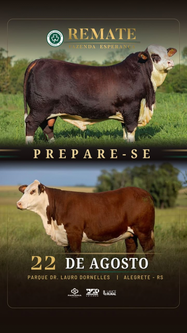 Remate Fazenda Esperança