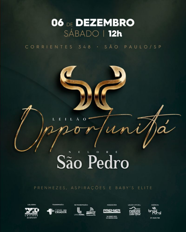 Leilão Virtual Opportunitá - Nelore São Pedro