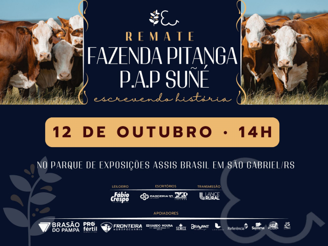 Remate Fazenda Pitanga P.A.P Suné - Escrevendo história