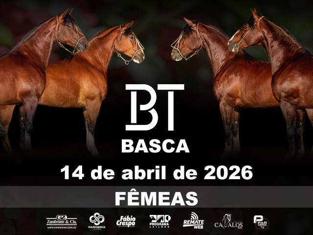 Leilão Virtual BT Basca - Fêmeas