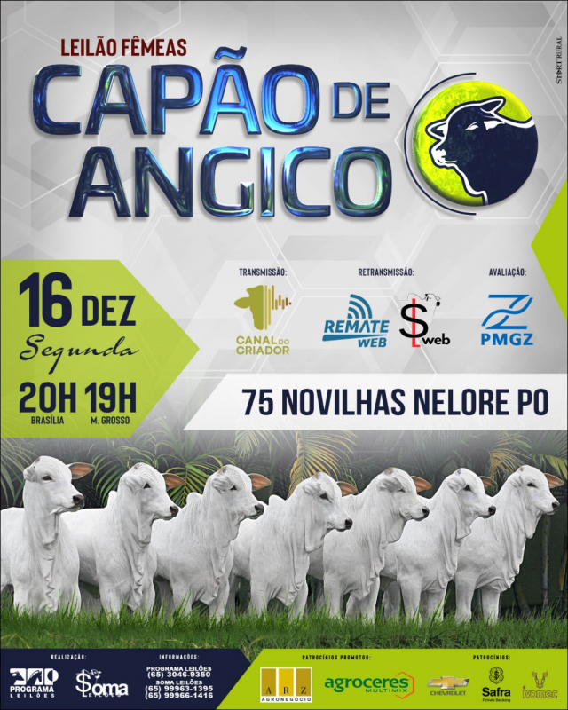 Leilão Virtual Fêmeas Capão de Angico