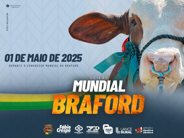 Leilão Mundial Braford
