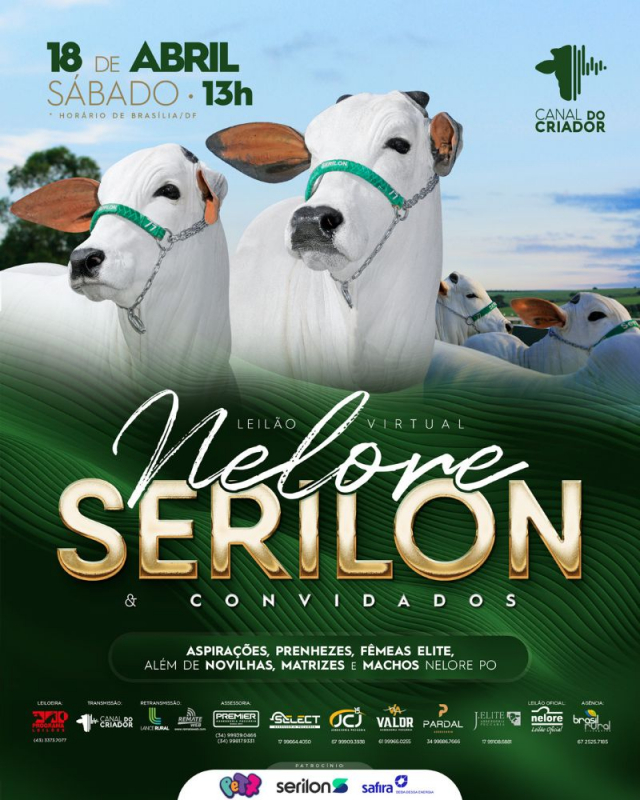 Leilão Virtual Nelore Serilon e Convidados