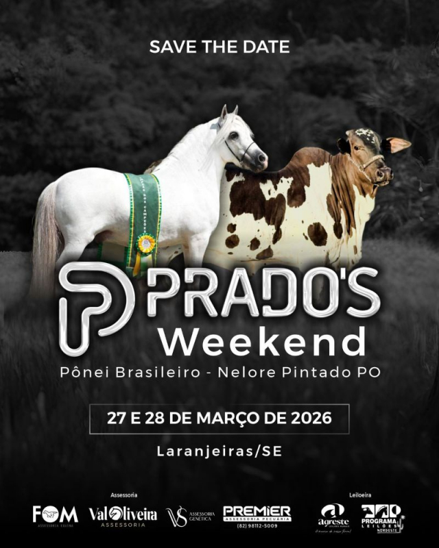 Leilão Prado's Weekend - Pônei Brasileiro e Nelore Pintado