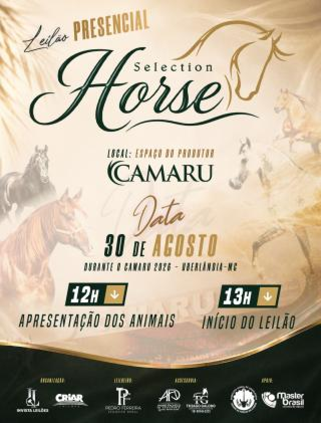 Leilão Selection Horse
