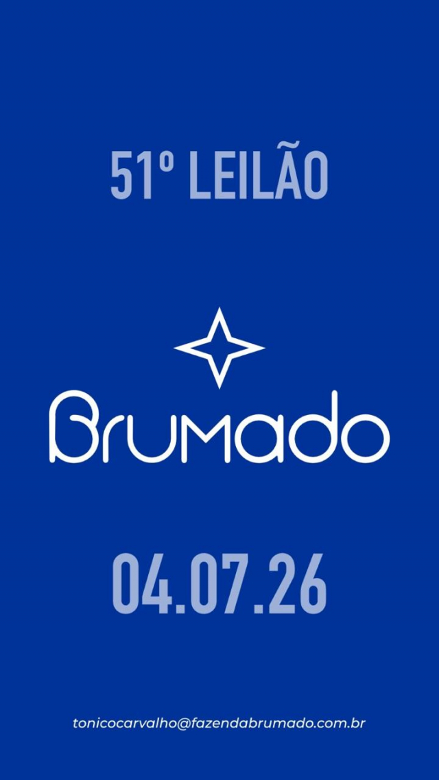 Virtual Nelore Brumado