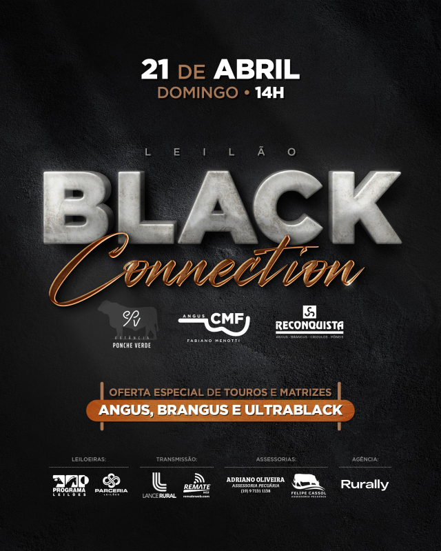 Leilão Black Connection