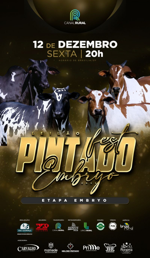 Leilão Virtual Pintado Fest 2025 - Embryo