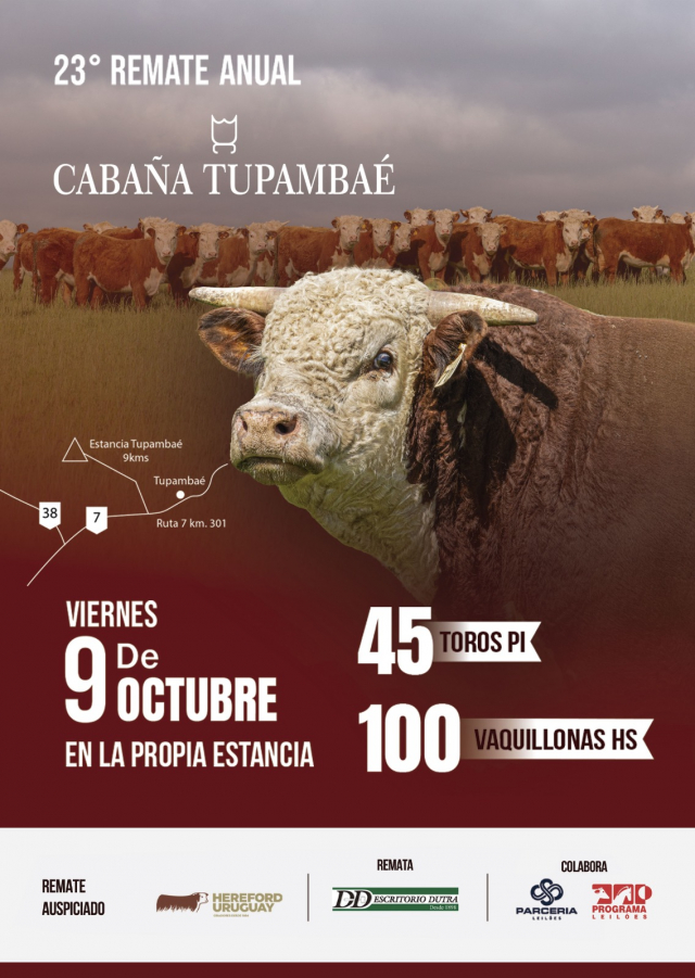 23º Remate Cabanha Tupambaé Hereford