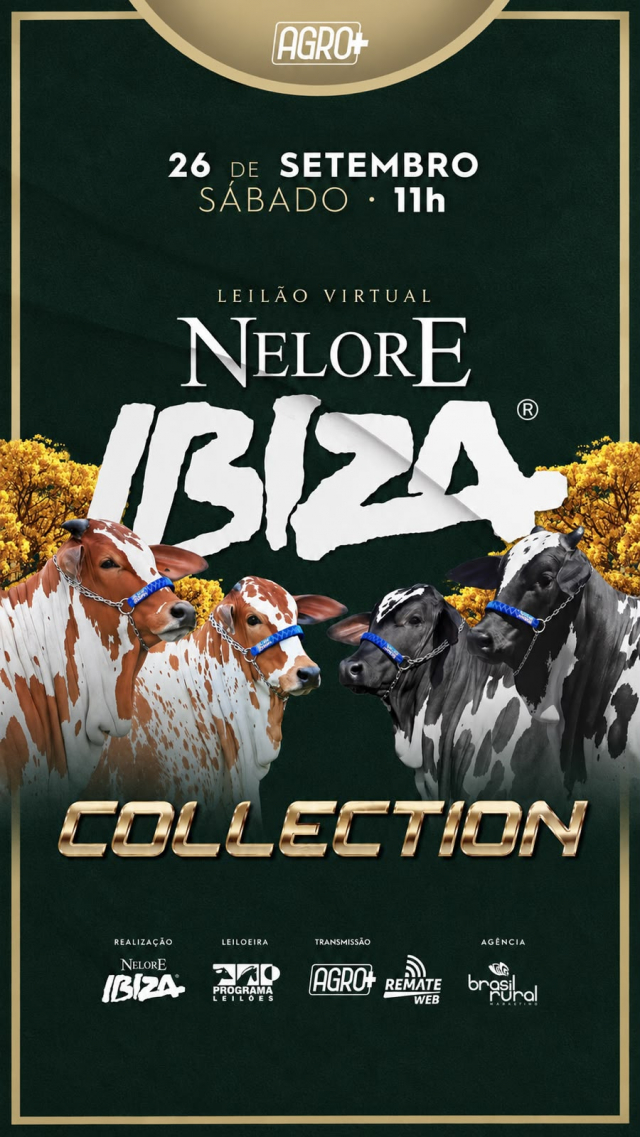 Leilão Virtual Nelore Ibiza Collection
