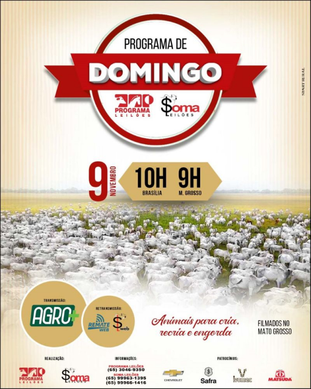 133º Programa de Domingo - Programa e Soma Leilões