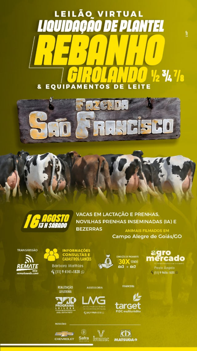 Leilão Virtual Liquidação Rebanho Girolando Fazenda São Francisco