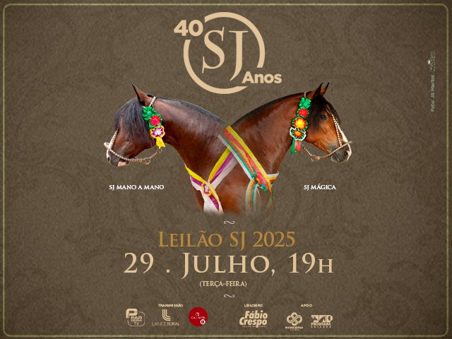 Leilão Virtual SJ 2025