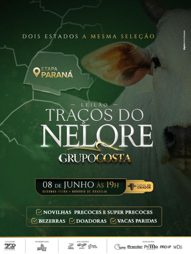 Leilão Virtual Traços do Nelore Grupo Costa - Etapa Paraná