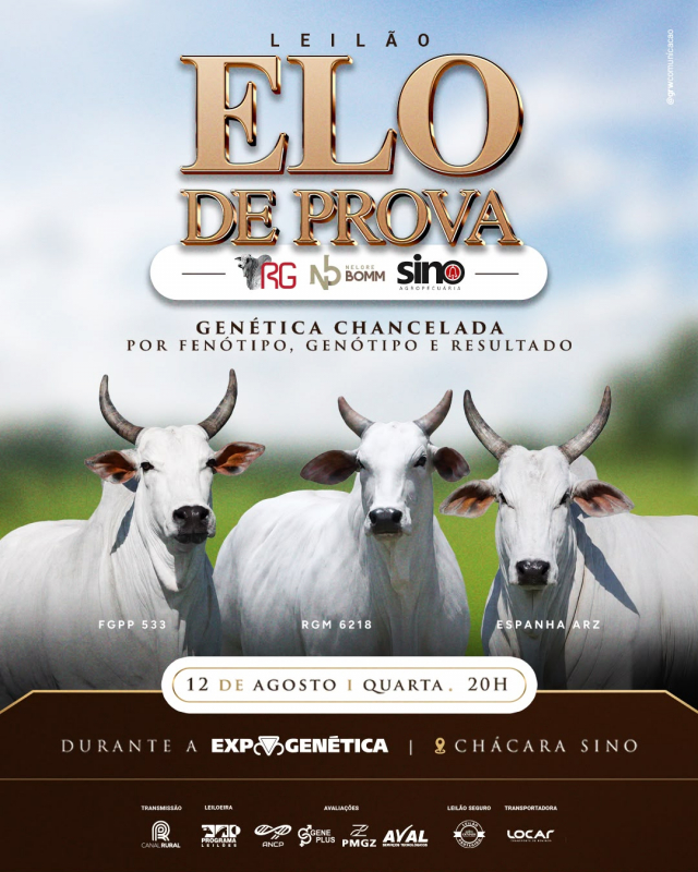 Leilão Elo de Prova - Genética Chancelada