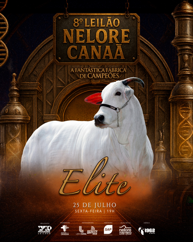 8° Leilão Virtual Nelore Canaã - Elite